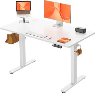 ErGear Escritorio Elevable Eléctrico 120x60
