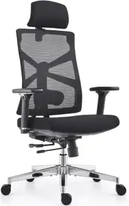 HOLLUDLE Silla Oficina Ergonómica Negro con soporte lumbar