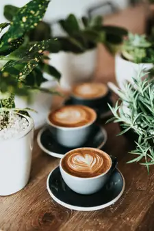 Cómo preparar un buen café en casa: guía paso a paso para principiantes