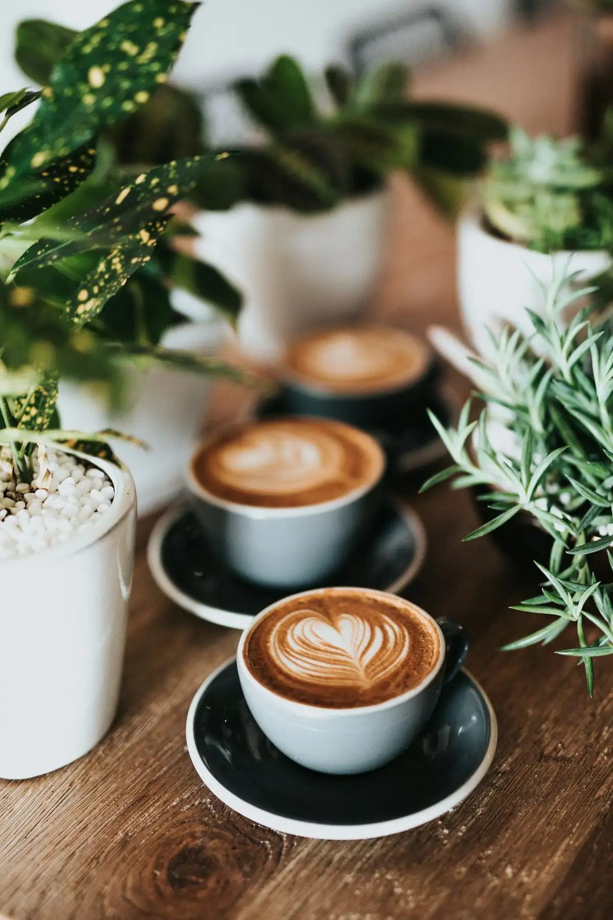 Cómo preparar un buen café en casa: guía paso a paso para principiantes